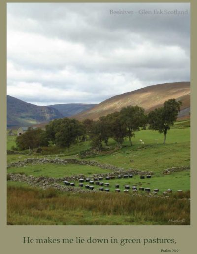 Beehives in Scotland