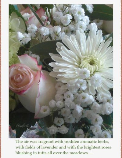 White and Pink Flowers