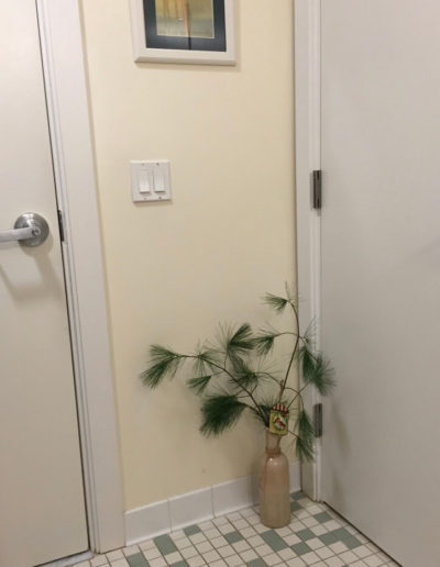 small plant arrangement