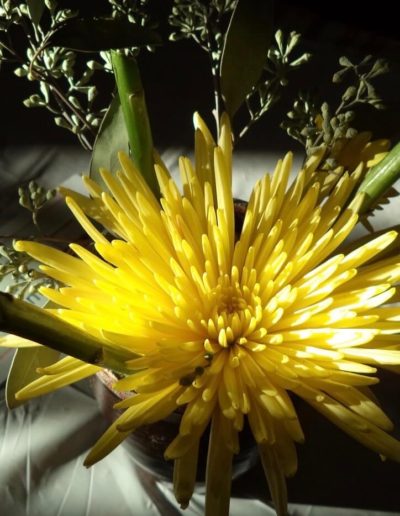 Bright yellow Flower